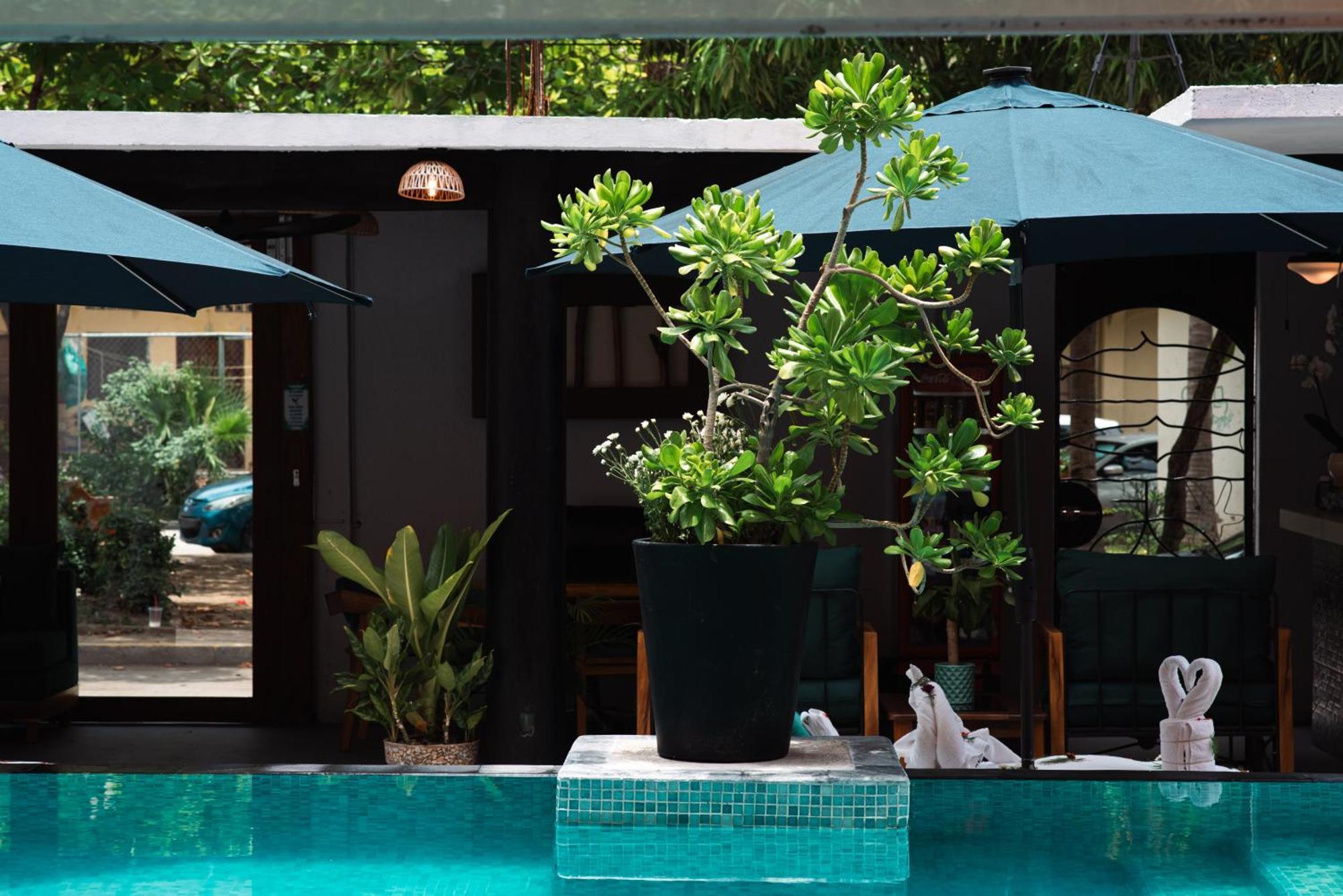 Zihua Mia Hotel Boutique Zihuatanejo Exteriör bild